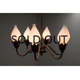 6Tulip Chandelier