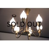 6Tulip Chandelier