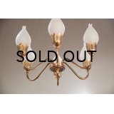 6Tulip Chandelier