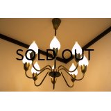 8Tulip Chandelier