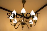 8Tulip Chandelier