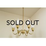 6Tulip Chandelier