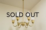 6Tulip Chandelier