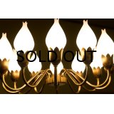 12Tulip Chandelier
