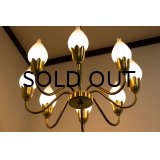 8Tulip Chandelier