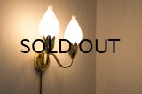 Tulip Wall Lamp