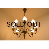 8Tulip Chandelier