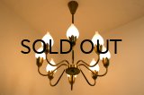 8Tulip Chandelier