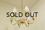 6Tulip Chandelier