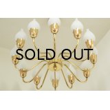 12Tulip Chandelier（銀座店）
