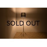 Rosewood Floor Lamp（銀座店）
