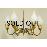 6Tulip Chandelier