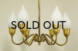6Tulip Chandelier