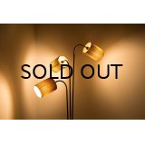1950's 3neck Floor Lamp