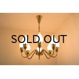 8Tulip Chandelier