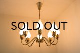 8Tulip Chandelier