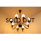 8Tulip Chandelier