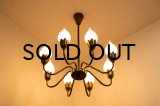 8Tulip Chandelier