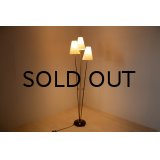 3neck Floor Lamp（銀座店）