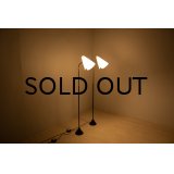 1950's Acrylic shade & Metal Floor Lamp（Pair）