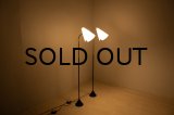 1950's Acrylic shade & Metal Floor Lamp（Pair）