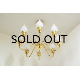 8Tulip Chandelier（銀座店）