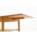 画像11: Butterfly Coffee Table