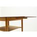 画像15: Butterfly Coffee Table