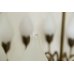 画像21: 12Tulip Chandelier（銀座店）