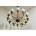 画像3: 12Tulip Chandelier（銀座店）