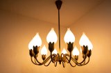 12Tulip Chandelier（銀座店）