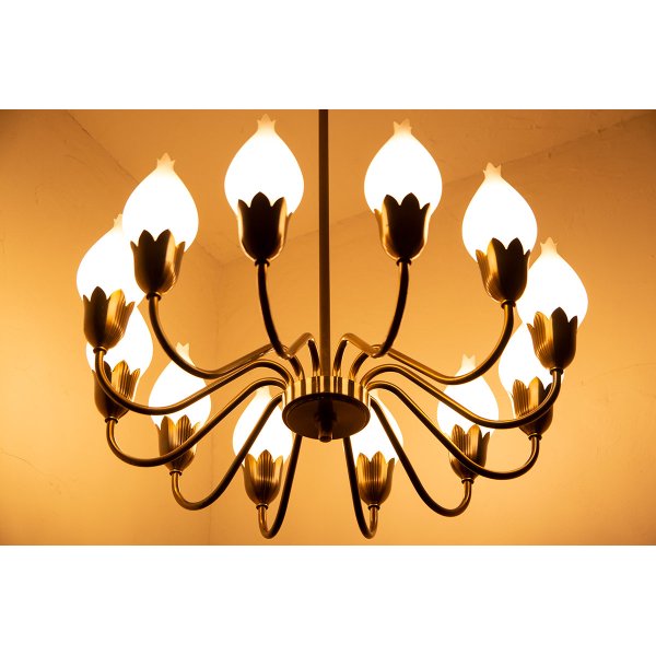 画像2: 12Tulip Chandelier（銀座店）
