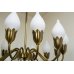 画像9: 12Tulip Chandelier（銀座店）