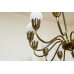 画像17: 12Tulip Chandelier（銀座店）