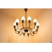 画像4: 12Tulip Chandelier（銀座店）