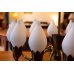 画像25: 12Tulip Chandelier（銀座店）