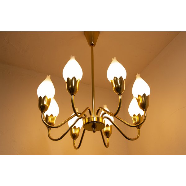 画像3: 8Tulip Chandelier