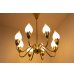 画像3: 8Tulip Chandelier