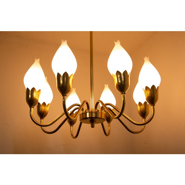画像7: 8Tulip Chandelier