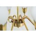 画像15: 8Tulip Chandelier