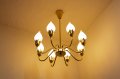 8Tulip Chandelier
