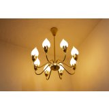8Tulip Chandelier