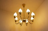 8Tulip Chandelier