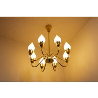 8Tulip Chandelier