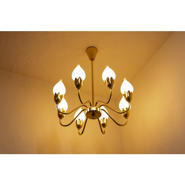 画像1: 8Tulip Chandelier