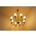 画像1: 8Tulip Chandelier (1)