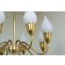 画像10: 8Tulip Chandelier