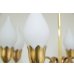 画像16: 8Tulip Chandelier