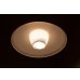 画像16: 1950's Pendant Lamp