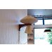 画像8: Le Klint Wall Lamp Model 204 Teak